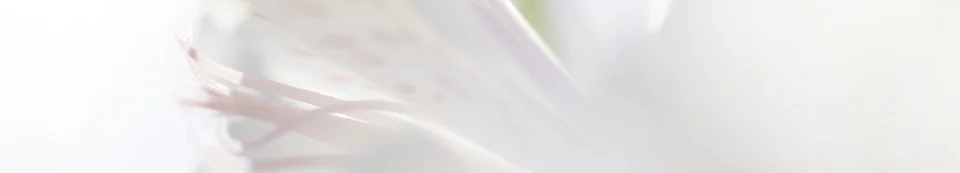 La majorité des produits Sisley sont fabriqués en France.