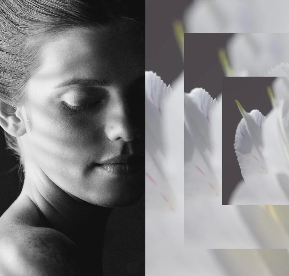 Sisley draws on its expertise from knowledge of plants.