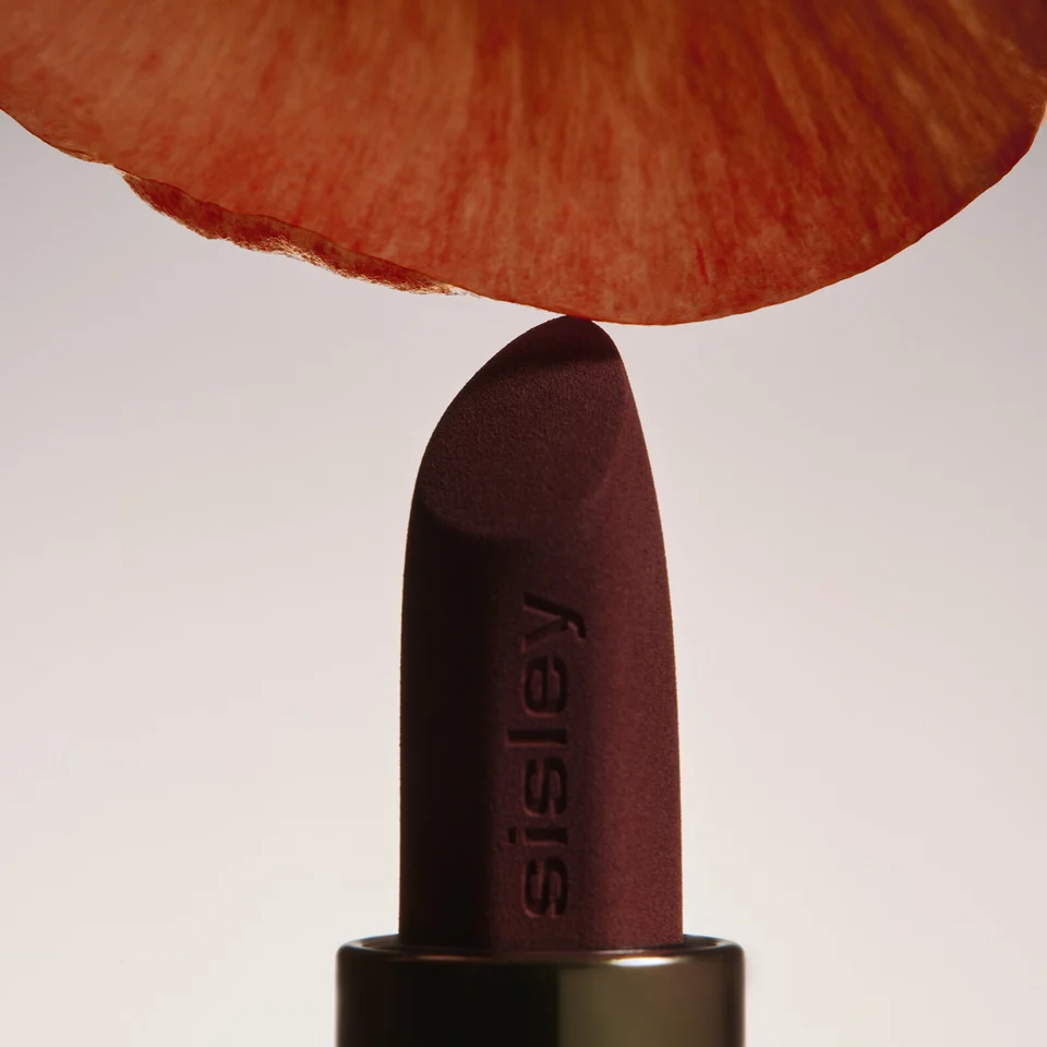 Phyto-Rouge Velvet 31 Orange Fawn
