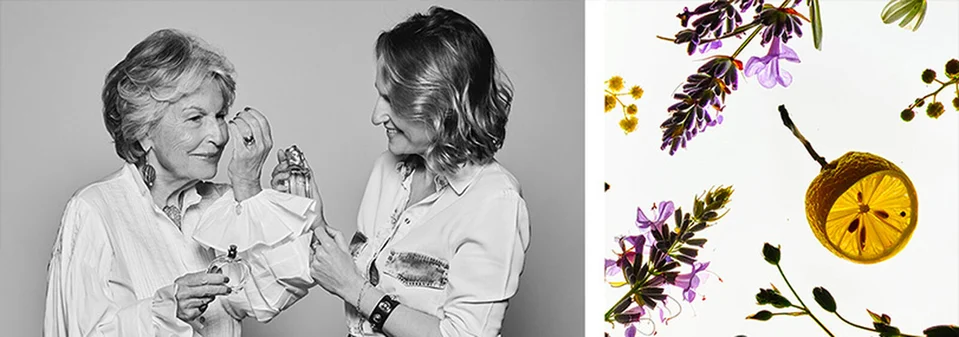 Products from the fragrance collections: eau de parfum, eau de toilette, candles