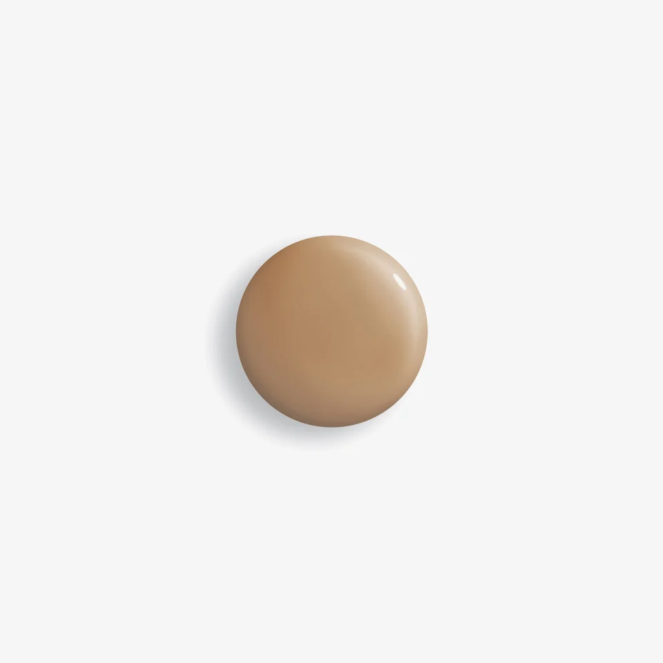 Phyto-Teint Perfection 6W Chestnut