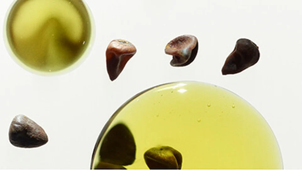 Roucou seeds