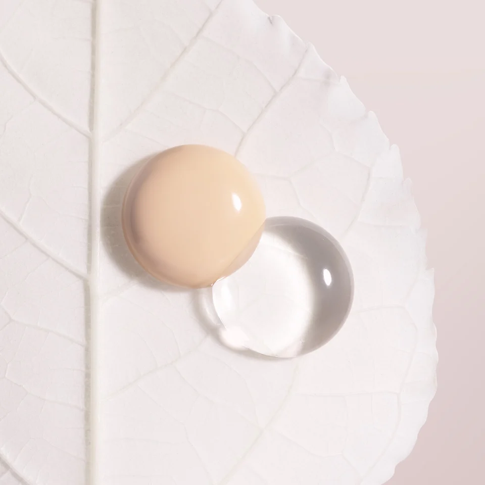 Phyto-Blanc Le Cushion 00W Shell