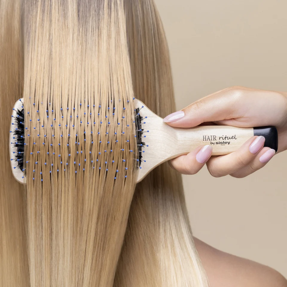 The Brush Radiance & Softness