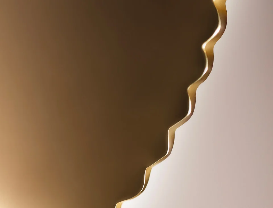 Ginkgo Gua Sha Product details 