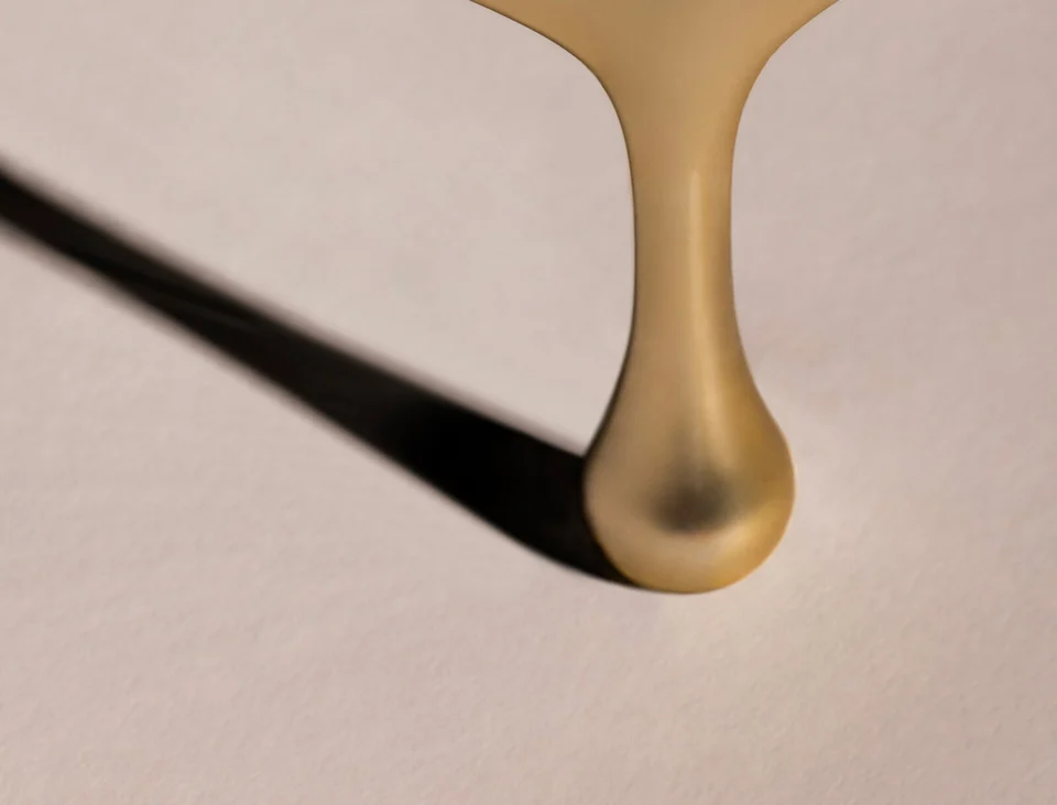 Ginkgo Gua Sha Product details 
