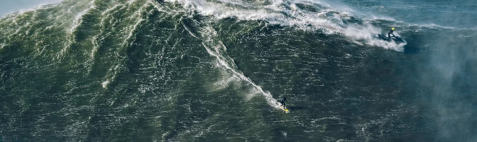 A wave in the ocean