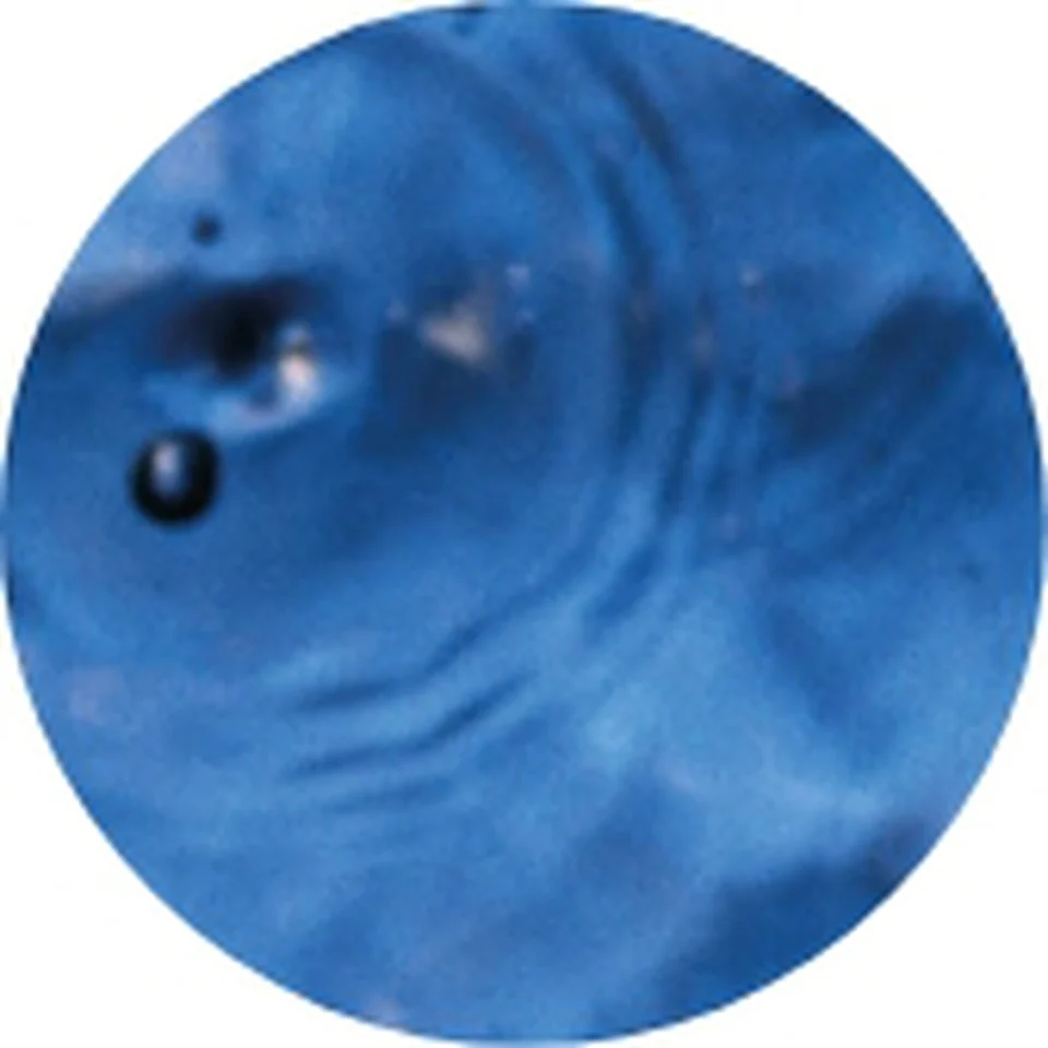 Protective Shield Mist protects hair from salt and chlorine