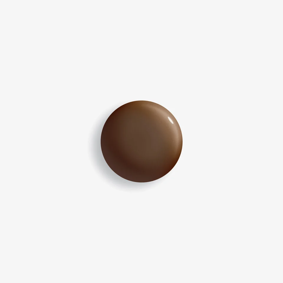Phyto-Teint Perfection 8N Espresso