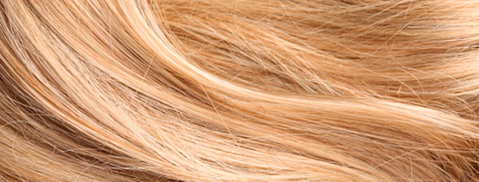 Strand of blonde hair