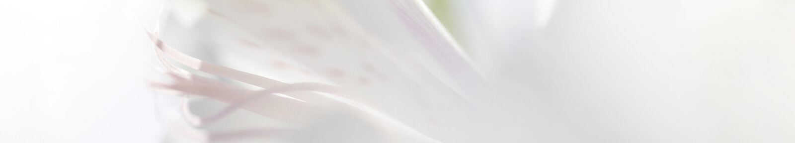 The majority of Sisley’s products are made in France.