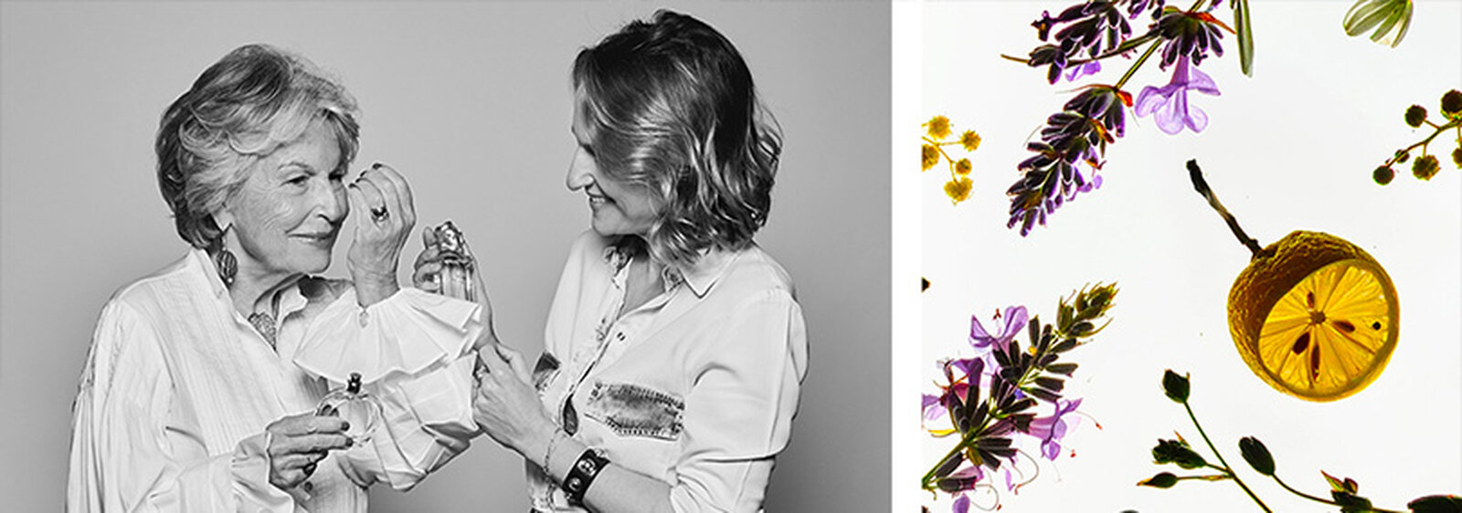 Products from the fragrance collections: eau de parfum, eau de toilette, candles