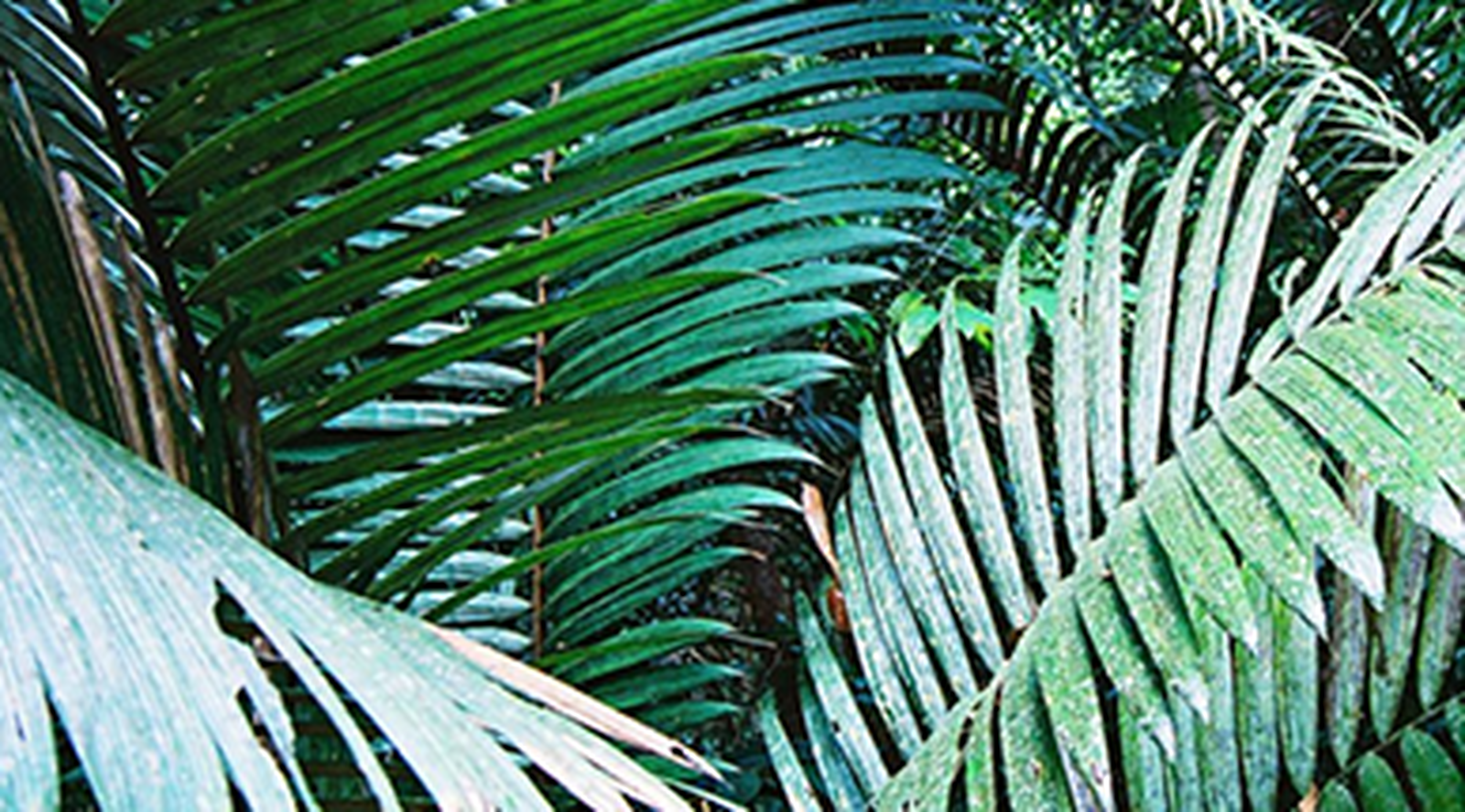 Sisley’s commitment to the environment 