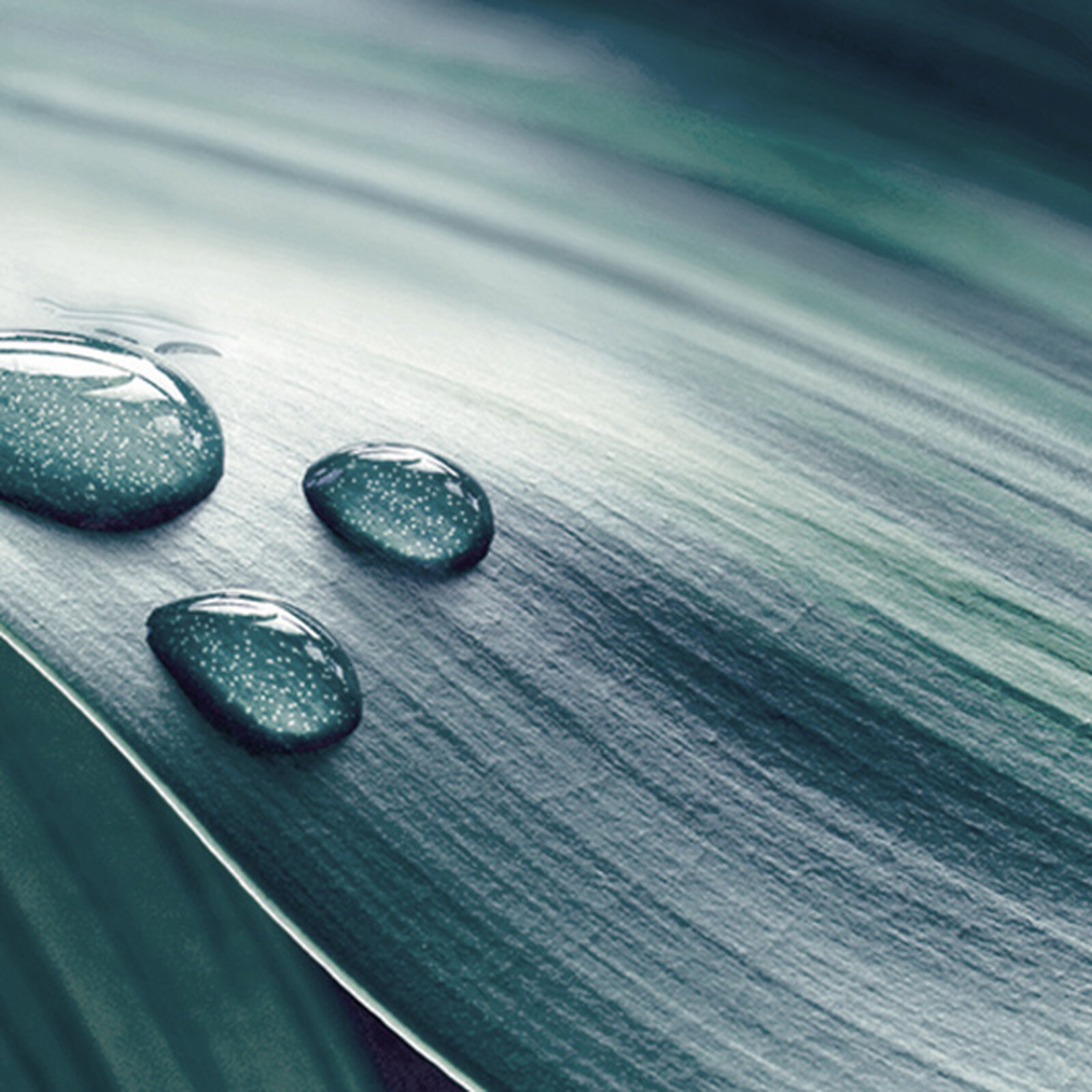 Find out everything there is to know about hydration
