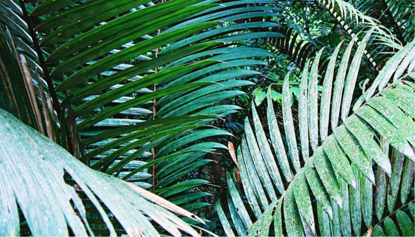 Sisley supports environmental preservation and biodiversity projects both internationally and in France.
