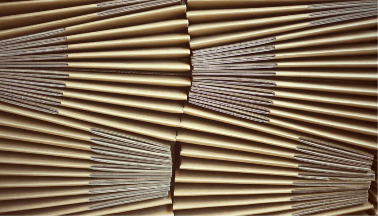 Sisley is innovating to recycle waste sustainably and responsibly. 